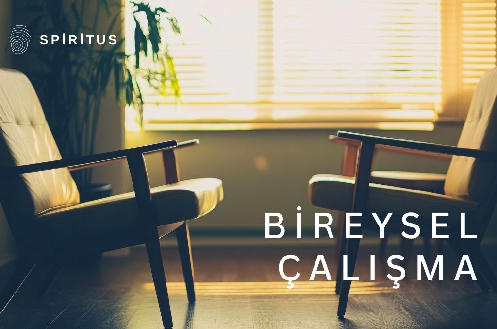 Spiritus Bireysel Çalışma