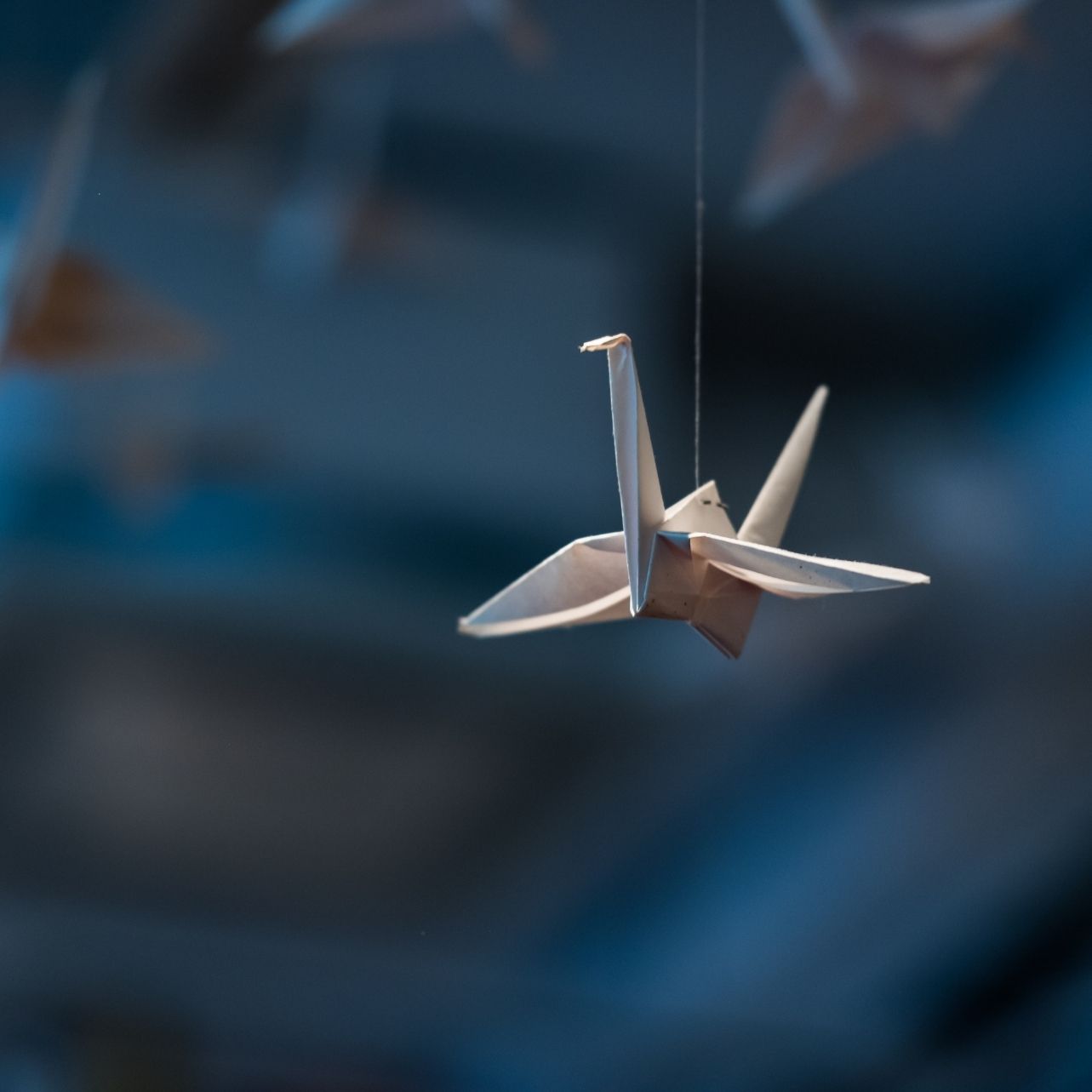 Hayatla Kurduğumuz İlk ve Son Bağ